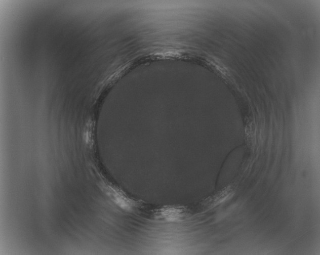 X0000063440462200602031746