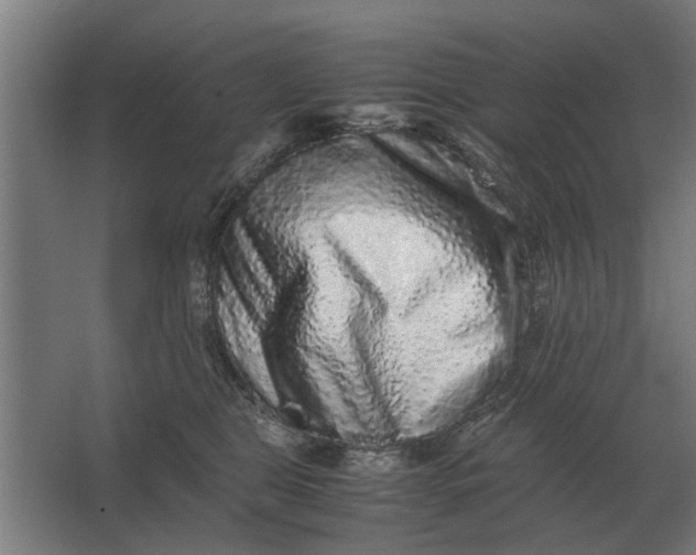 X0000063440469200602031746