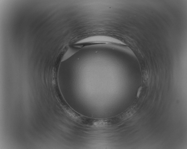 X0000063440470200602031746