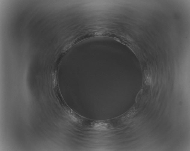 X0000063440471200602031746