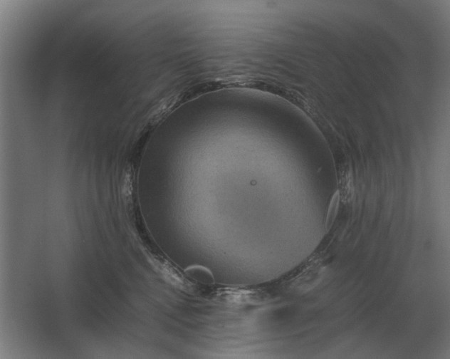 X0000063440472200602031746