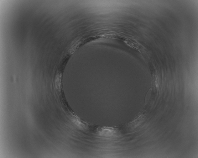 X0000063440475200602031746