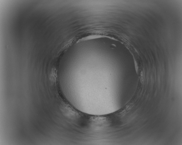X0000063440476200602031746