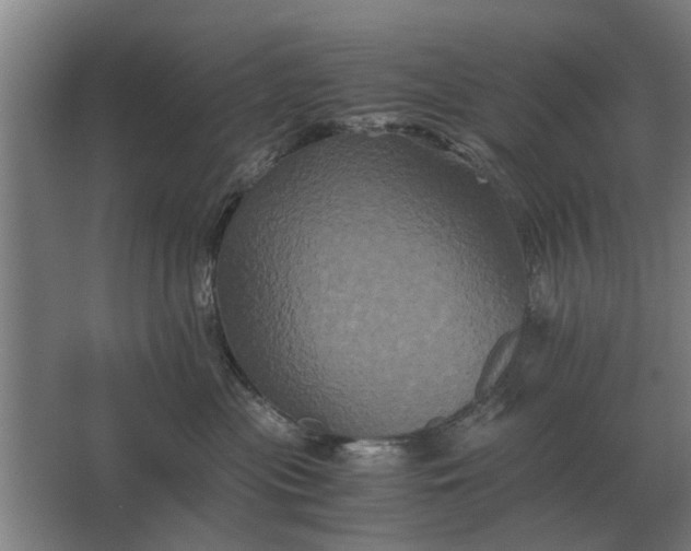 X0000063440477200602031746