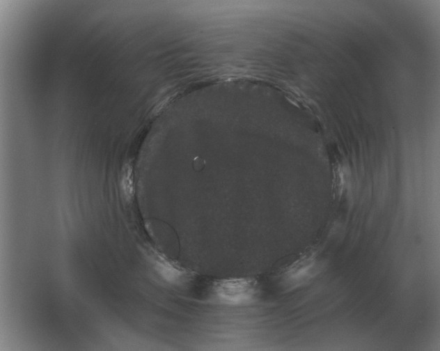 X0000063440479200602031746