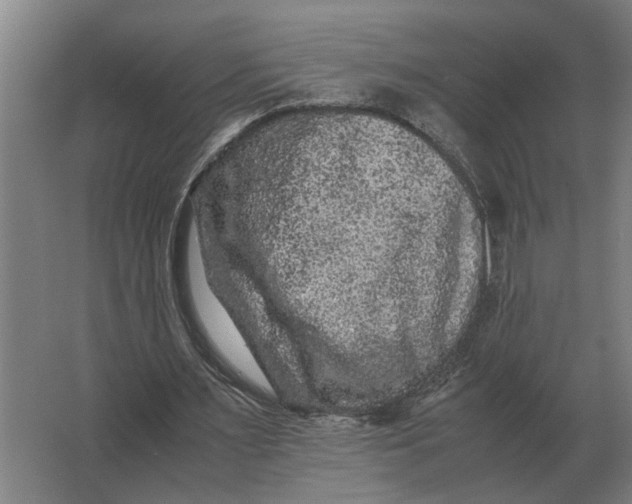 X0000063440483200602031745