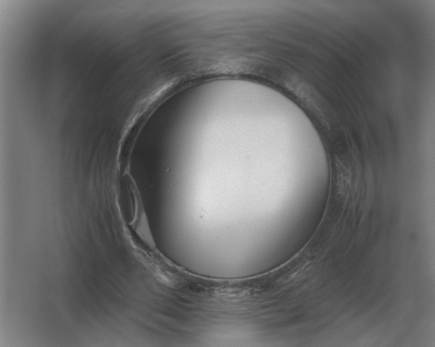 X0000063440486200602031745