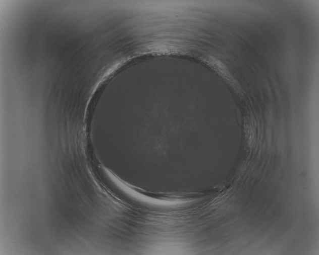 X0000063440488200602031745