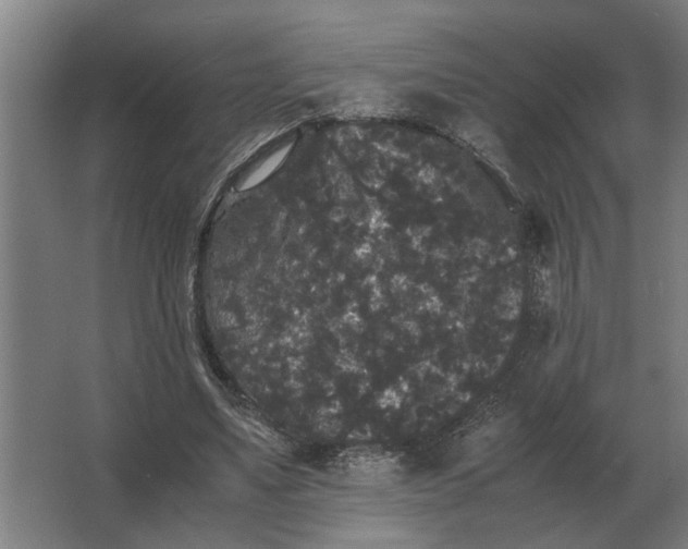 X0000063440491200602031745