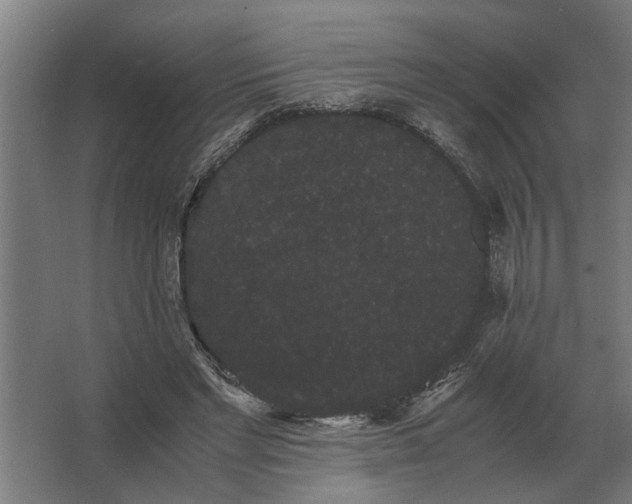 X0000063440493200602031745