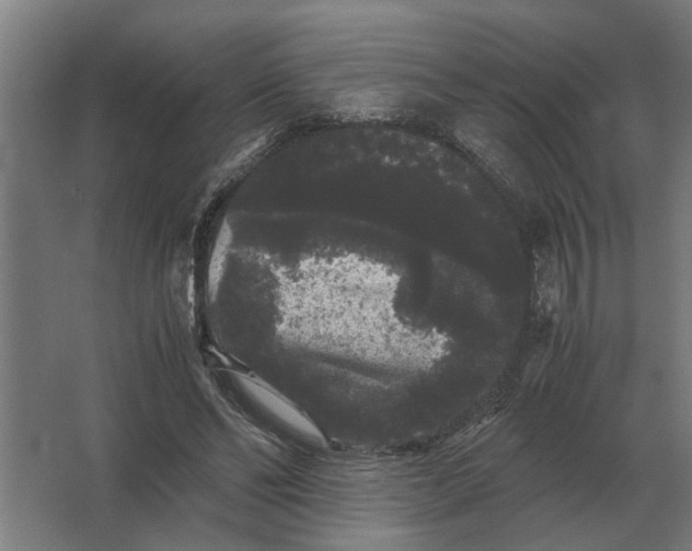 X0000063440494200602031745