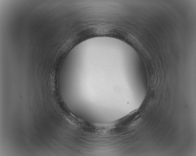X0000063440497200602031745