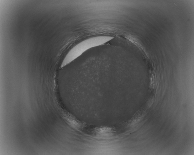 X0000063440501200602031745
