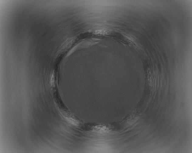 X0000063440502200602031745