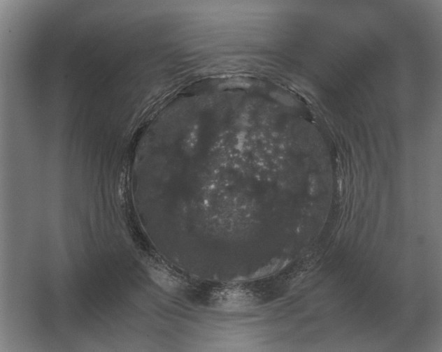 X0000063440503200602031745