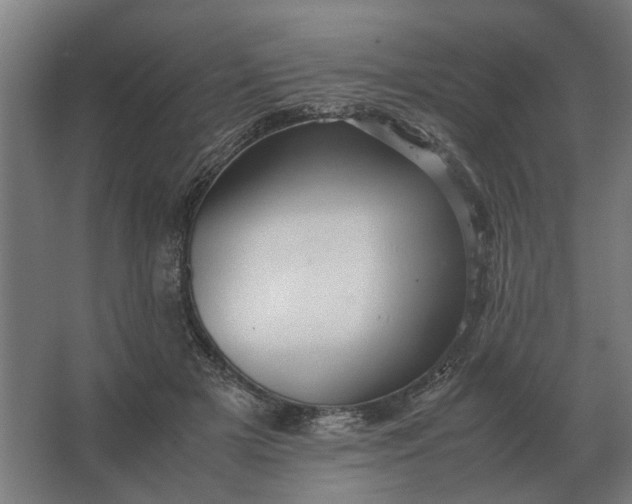 X0000063440505200602031745