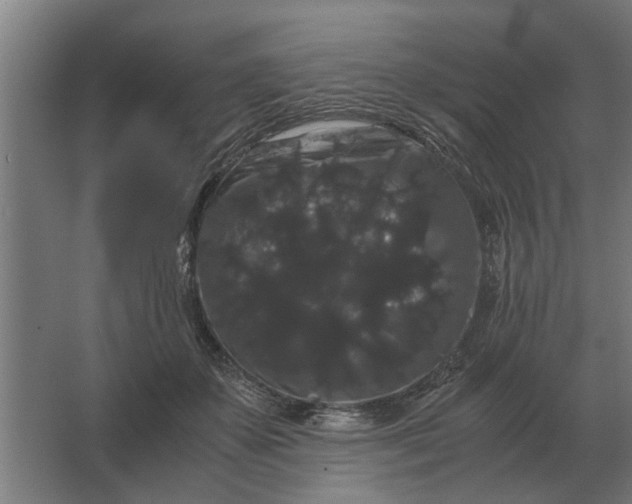 X0000063440507200602031745