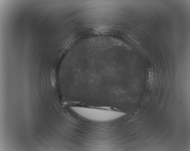 X0000063440508200602031745