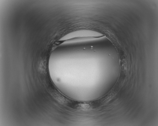 X0000063440509200602031745