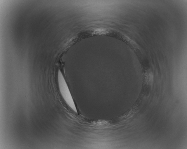 X0000063440517200602031745