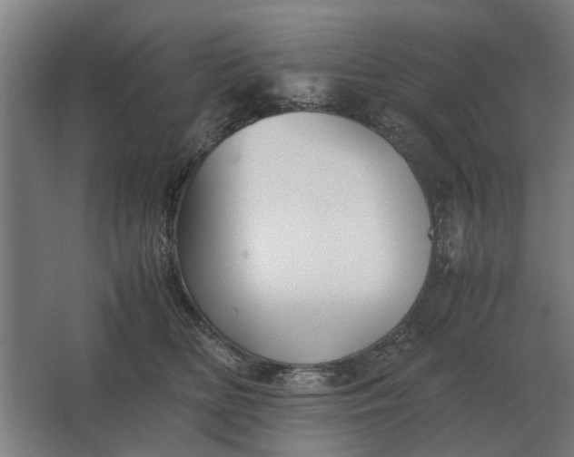 X0000063440518200602031745