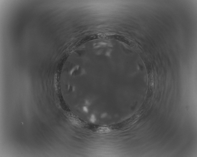 X0000063440519200602031745
