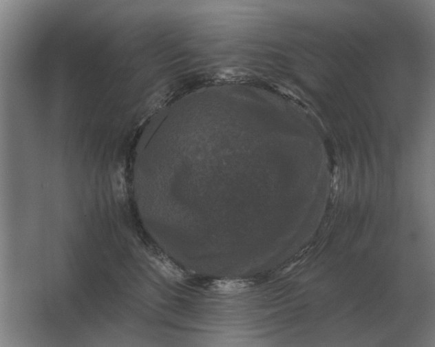 X0000063440520200602031745