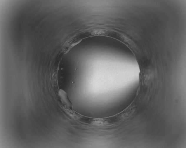 X0000063440521200602031745