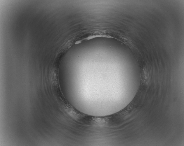 X0000063440522200602031745