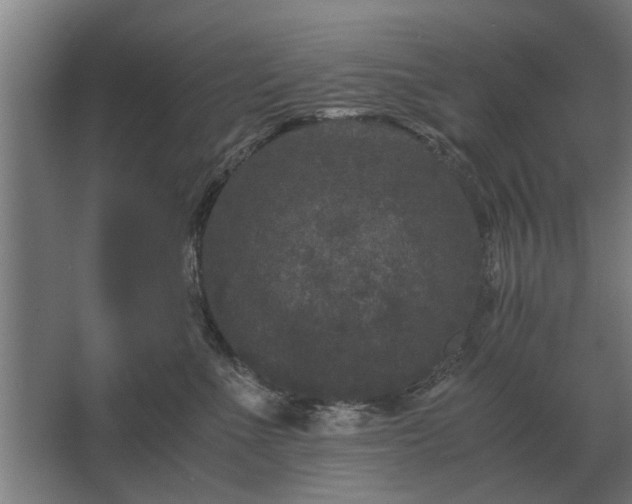 X0000063440523200602031744