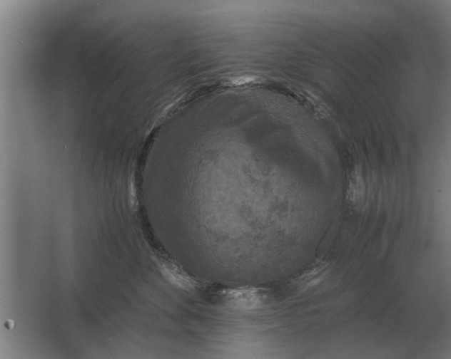 X0000063440524200602031744