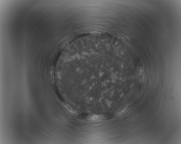 X0000063440527200602031744