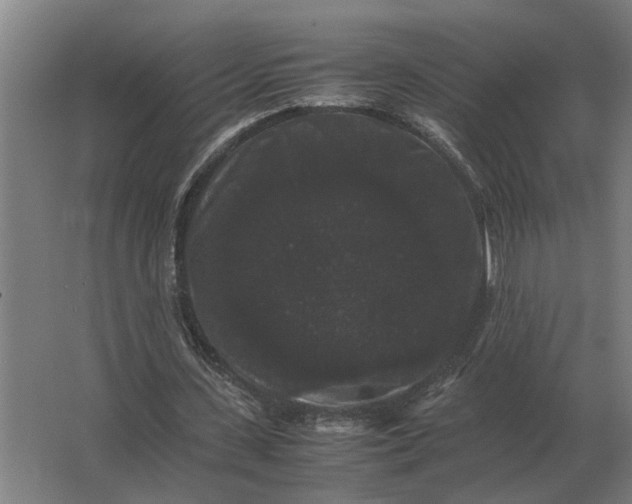 X0000063440531200602031744