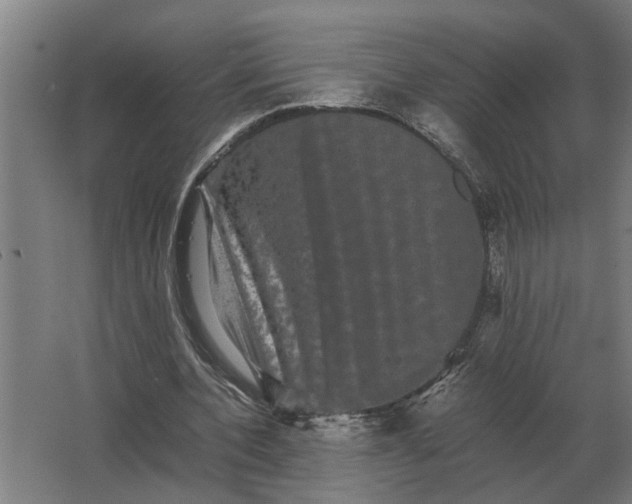 X0000063440532200602031744