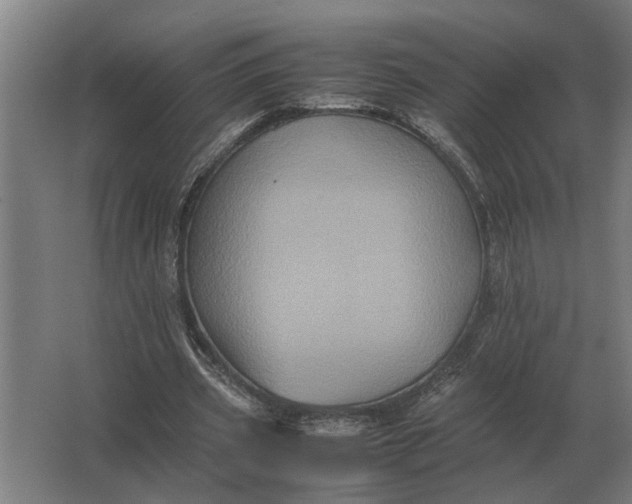 X0000063440533200602031744