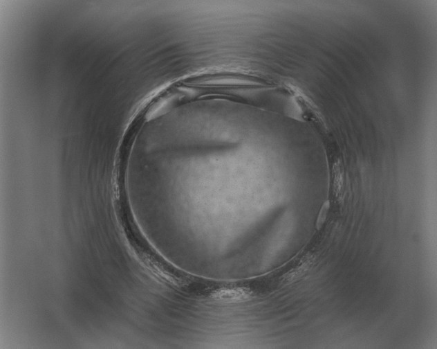 X0000063440536200602031744