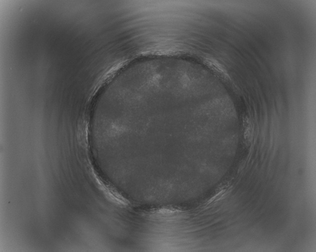 X0000063440542200602031744