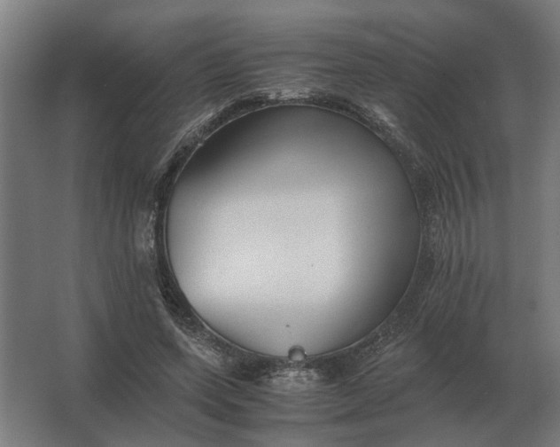 X0000063440543200602031744