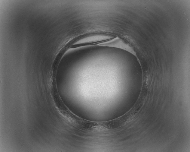 X0000063440544200602031744