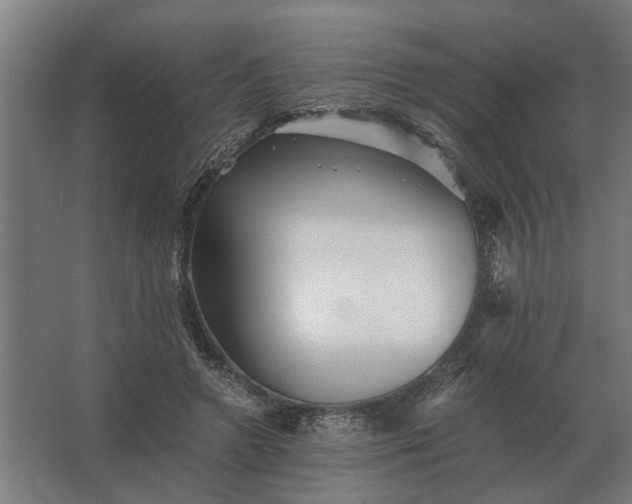 X0000063440546200602031744
