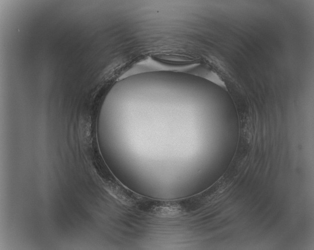 X0000063440548200602031744