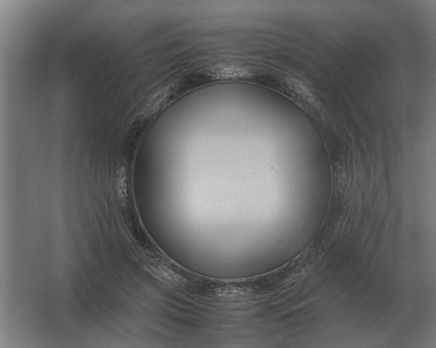 X0000063440549200602031744
