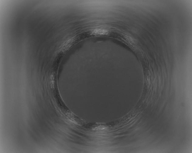 X0000063440551200602031744
