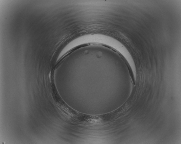 X0000063440552200602031744