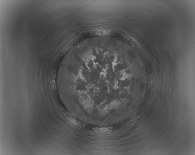 X0000063440553200602031744