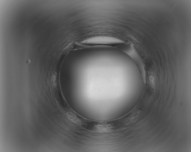 X0000063440556200602031744