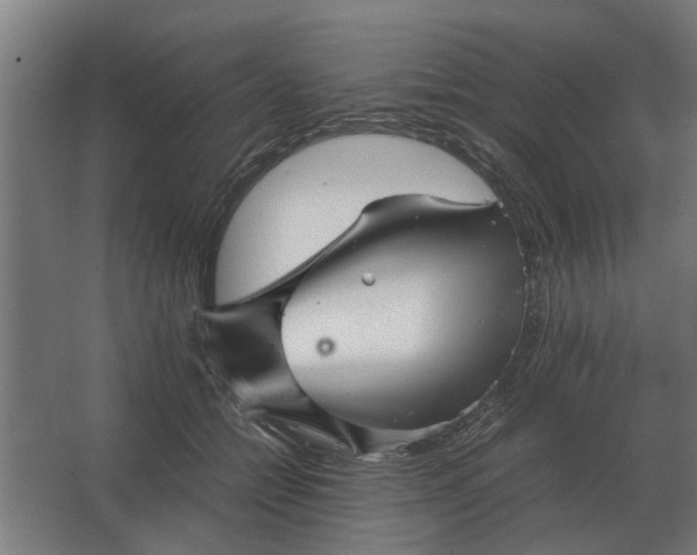 X0000063440558200602031744