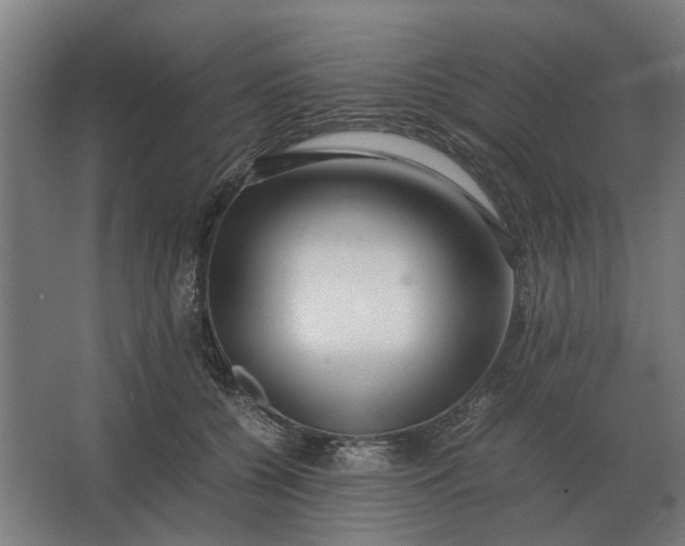 X0000063440560200602031744