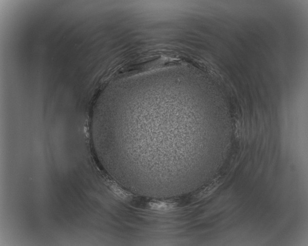 X0000063440561200602031744