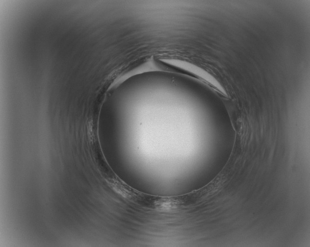 X0000063440564200602031744